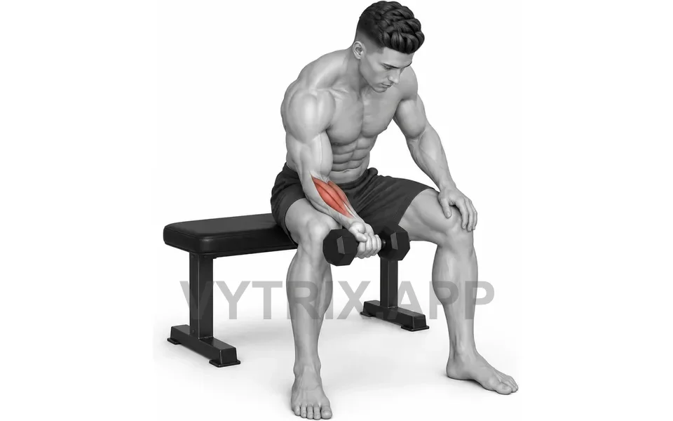 Uitvoering van Single Arm Wrist Curl (Dumbbell)