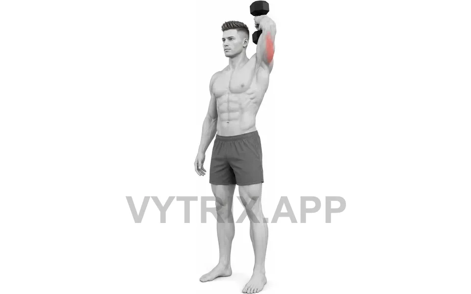 Uitvoering van Single Arm Overhead Extension