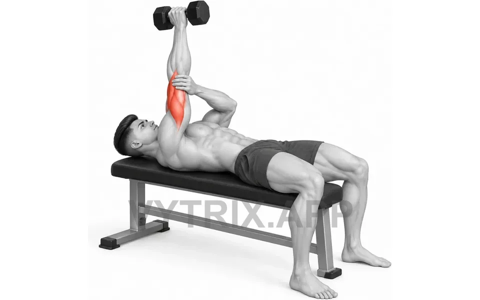 Uitvoering van Single Arm Pronated Skull Crusher (Dumbbell)