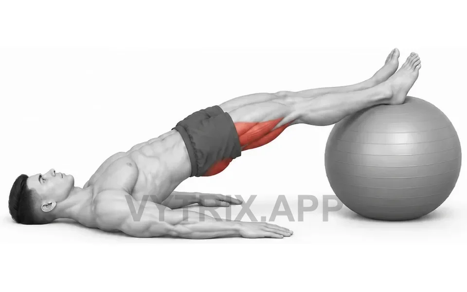 Uitvoering van Hamstring Curl (Stability Ball)