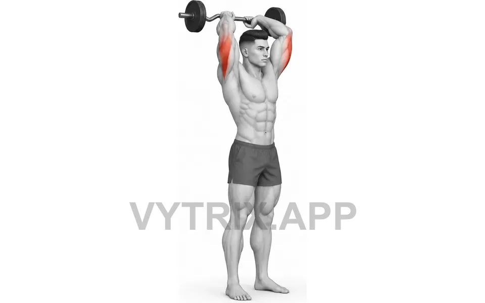 Uitvoering van Standing Overhead Triceps Extension (EZ Bar)
