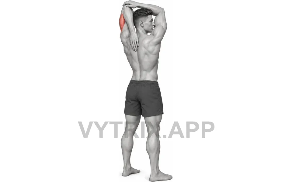 Uitvoering van Standing Overhead Triceps Stretch (Bodyweight)