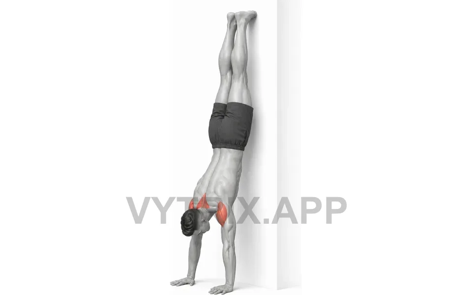 Uitvoering van Wall Handstand Hold