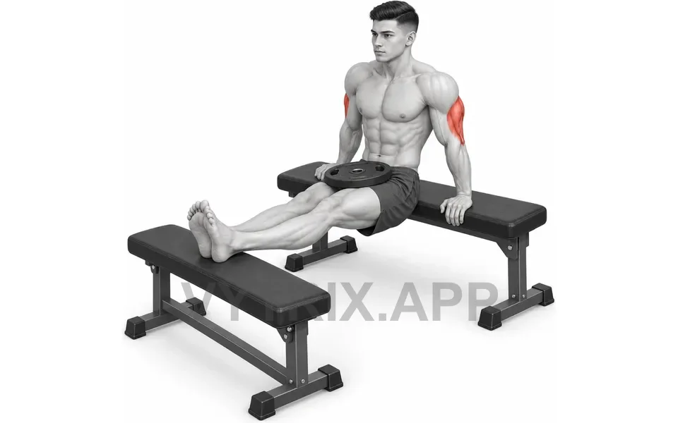 Uitvoering van Feet Elevated Bench Dip (Added Weight)
